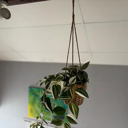 L Ancre Maison Sejour Spacieux Lumineux Avec Jardin Et Exterieur Amenage Terrain De Petanque Proche Omaha Beach, Grandcamp Maisy Et Pointe Du Hoc *