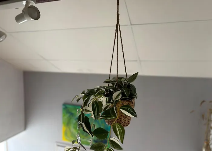 L Ancre Maison Sejour Spacieux Lumineux Avec Jardin Et Exterieur Amenage Terrain De Petanque Proche Omaha Beach, Grandcamp Maisy Et Pointe Du Hoc *